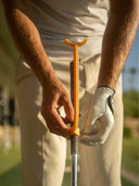 Swing Hinge