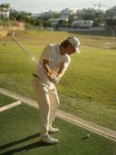 Swing Hinge