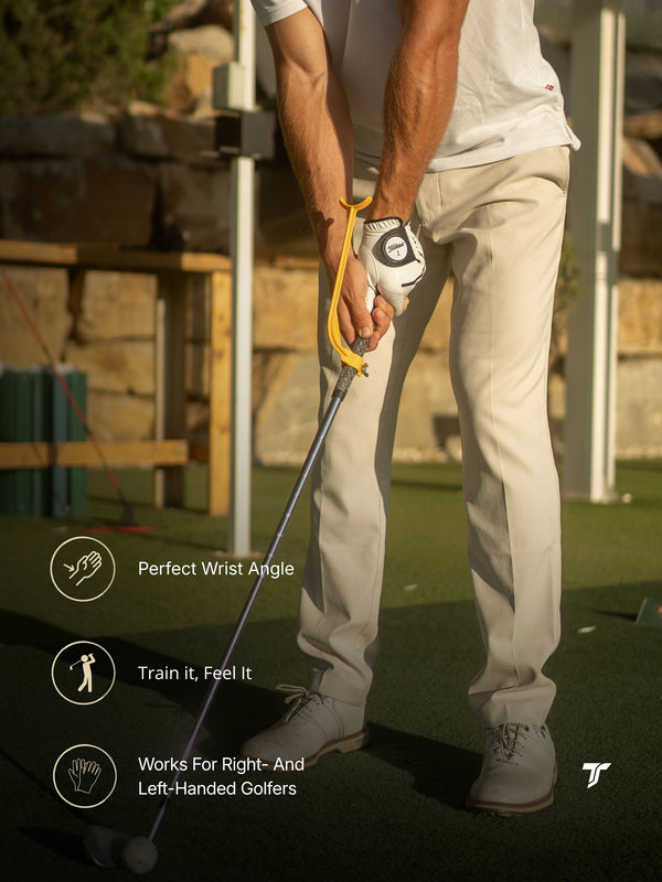 Swing Hinge